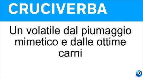  Ninfea! Un Piccolo Volatile dal Piumaggio Inimmaginabile e Cinguettii che Risvegliano l'Anima